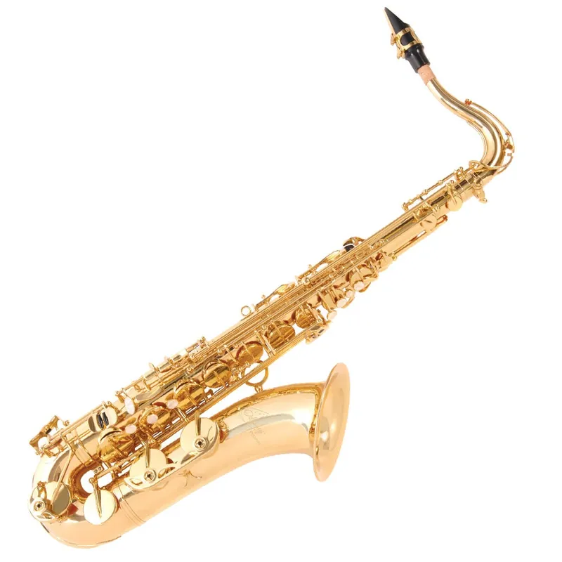 Fynd Odyssey Wind Instruments OTS800 Premiere Bb Tenor Saxophone